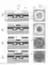 Fig. 09 - Devices with quantum dots