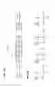 Fig. 13 - Physical layer frame format for WLAN