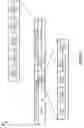 Fig. 06 - Enhanced packet formating for security inter-computing system communication