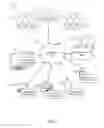 Fig. 02 - Data aggregation using a limited-use code