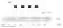 Fig. 01 - Three-dimensional display device with sub-light source and corresponding blazed grating and display method thereof