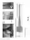 Fig. 33 - Wireless optofluidic systems for programmable in vivo pharmacology and optogenetics