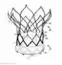 Fig. 01 - Prosthetic Heart Valve with Atraumatic Aortic Portion