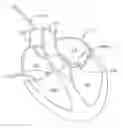 Fig. 01 - Devices and methods for heart valve repair