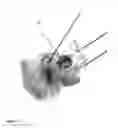 Fig. 10 - System of designing a guide tool and/or surgical kit tools and/or an implant comprising a positioning mark