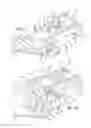 Fig. 10 - Geared cam expandable interbody implant and method of implanting same