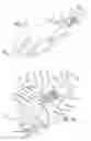 Fig. 13 - Geared cam expandable interbody implant and method of implanting same