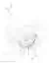 Fig. 03 - Systems and methods for prosthetic wrist rotation