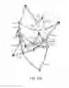 Fig. 28 - Articulated commissure valve stents and methods