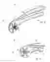 Fig. 08 - Crimper device