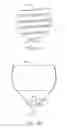 Fig. 09 - Device for intermittently obstructing a gastric opening