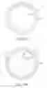 Fig. 42 - Device for intermittently obstructing a gastric opening