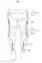 Fig. 01 - Motion assistance apparatus