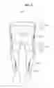 Fig. 04 - Motion assistance apparatus