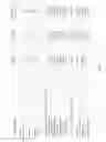 Fig. 02 - CONGNITIVE FUNCTION WITH FENFLURAMINE