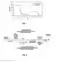 Fig. 02 - METHODS AND COMPOSITIONS FOR TREATMENT OF EPILEPTIC DISORDERS