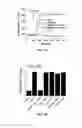 Fig. 03 - Method for prevention or treatment of diabetic complications
