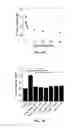 Fig. 05 - Method for prevention or treatment of diabetic complications