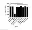 Fig. 07 - Method for prevention or treatment of diabetic complications