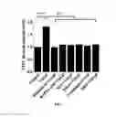 Fig. 08 - Method for prevention or treatment of diabetic complications