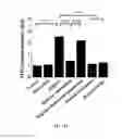 Fig. 20 - Method for prevention or treatment of diabetic complications