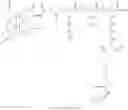 Fig. 21 - Radiolabeled drug