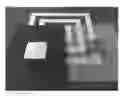 Fig. 01 - High-quality wood prints and methods of making the same