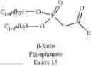 Fig. 197 - Difluorolactam compounds as EPreceptor-selective agonists for use in the treatment of EP-mediated diseases and conditions