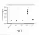Fig. 02 - ALTERNATIVE NUCLEIC ACID MOLECULES CONTAINING REDUCED URACIL CONTENT AND USES THEREOF
