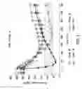 Fig. 02 - Insulin receptor partial agonists