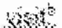 Fig. 04 - Safe and effective method of treating lupus with anti-IL12/IL23 antibody