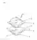 Fig. 02 - Detergent compositions comprising lipases