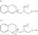 Fig. 02 - LAUNDRY METHOD, USE OF POLYPEPTIDE AND DETERGENT COMPOSITION