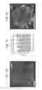 Fig. 07 - 3D Printing Of A Cellularised Scaffold
