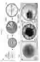 Fig. 16 - METHODS OF GENERATING HUMAN INNER EAR SENSORY EPITHELIA AND SENSORY NEURONS