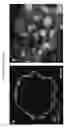 Fig. 17 - METHODS OF GENERATING HUMAN INNER EAR SENSORY EPITHELIA AND SENSORY NEURONS
