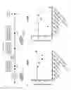 Fig. 27 - METHODS OF GENERATING HUMAN INNER EAR SENSORY EPITHELIA AND SENSORY NEURONS