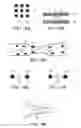 Fig. 13 - INTRACELLULAR DELIVERY