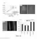 Fig. 30 - INTRACELLULAR DELIVERY
