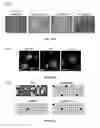 Fig. 34 - INTRACELLULAR DELIVERY