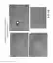 Fig. 09 - Methods and compositions for ex vivo expansion of very small embryonic-like stem cells (VSELs)
