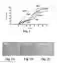 Fig. 02 - Scalable primate pluripotent stem cell aggregate suspension culture