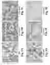 Fig. 04 - Scalable primate pluripotent stem cell aggregate suspension culture
