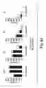 Fig. 06 - Scalable primate pluripotent stem cell aggregate suspension culture