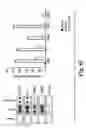 Fig. 08 - Scalable primate pluripotent stem cell aggregate suspension culture