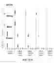 Fig. 41 - Scalable primate pluripotent stem cell aggregate suspension culture