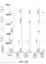 Fig. 43 - Scalable primate pluripotent stem cell aggregate suspension culture