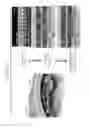 Fig. 32 - DEVICES AND METHODS FOR SIMULATING A FUNCTION OF A LIVER TISSUE