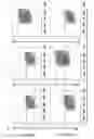 Fig. 16 - Isogenic blood-brain barrier model