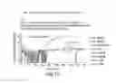 Fig. 43 - Recombinase polymerase amplification